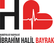 ibrahim halil logo pdf 1